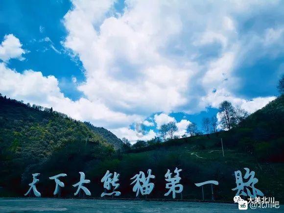 了解定语从句:可以填of whom吗?前景与动态-定语从句:可以填of whom吗?红迪网平台